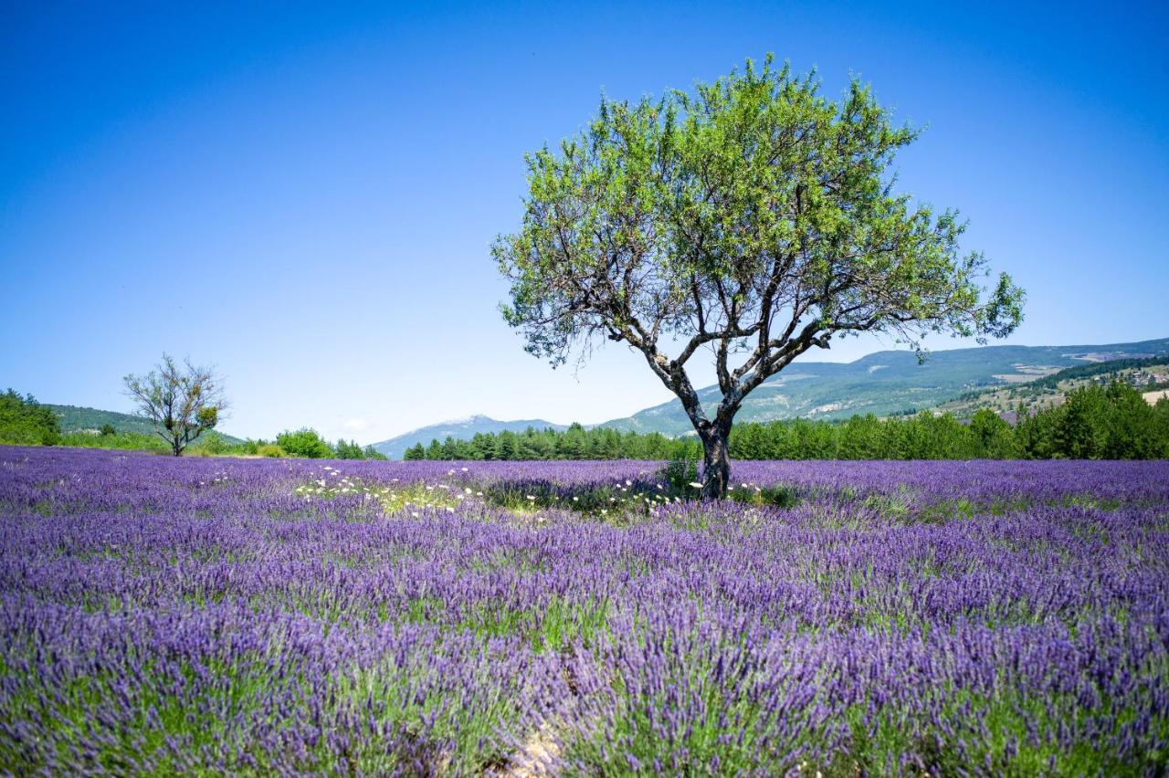 Le Claux Du Puits By Ateya Vacances Saint-Trinit エクステリア 写真